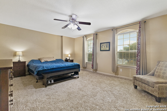 10607 Tansy Canyon, Helotes, Texas image 12