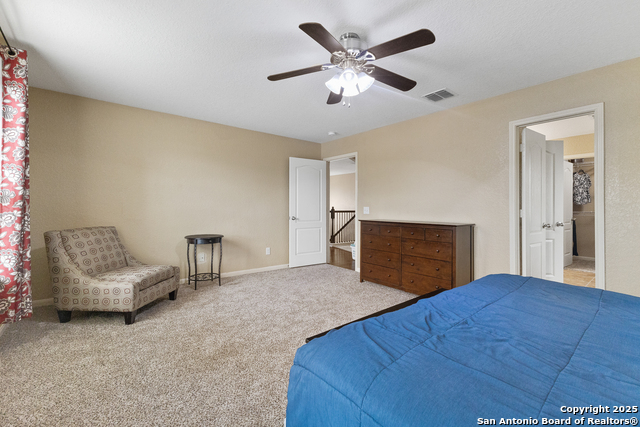 10607 Tansy Canyon, Helotes, Texas image 13