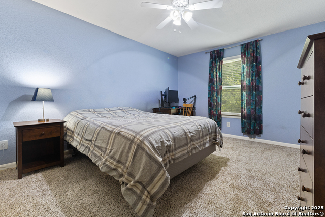 10607 Tansy Canyon, Helotes, Texas image 17