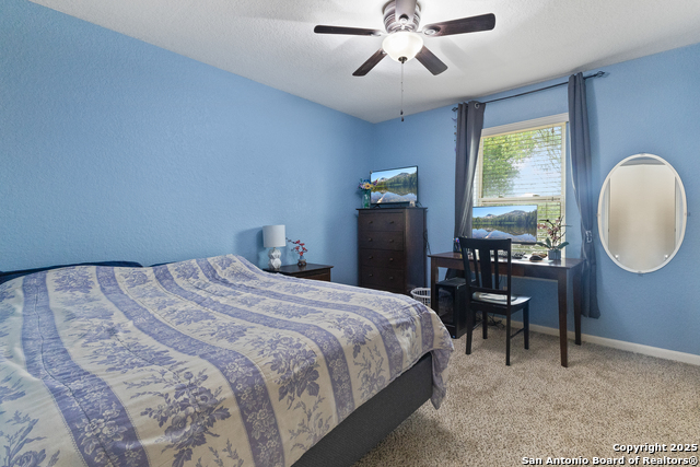 10607 Tansy Canyon, Helotes, Texas image 19