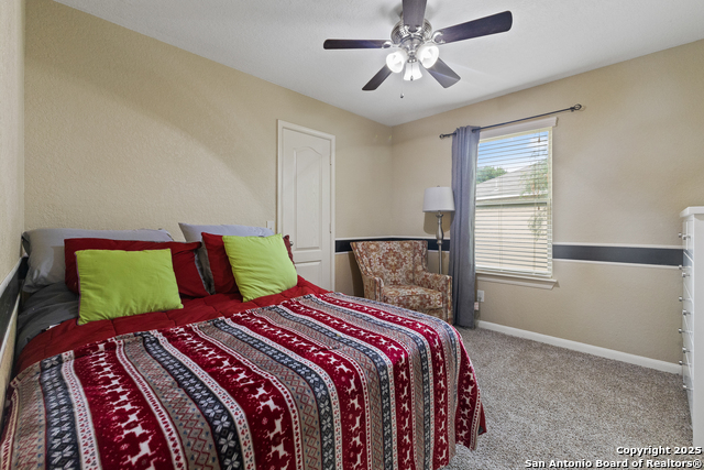 10607 Tansy Canyon, Helotes, Texas image 20