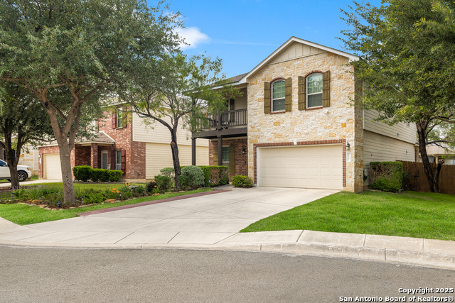 10607 Tansy Canyon, Helotes, Texas image 27