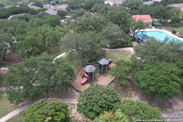 10607 Tansy Canyon, Helotes, Texas image 29
