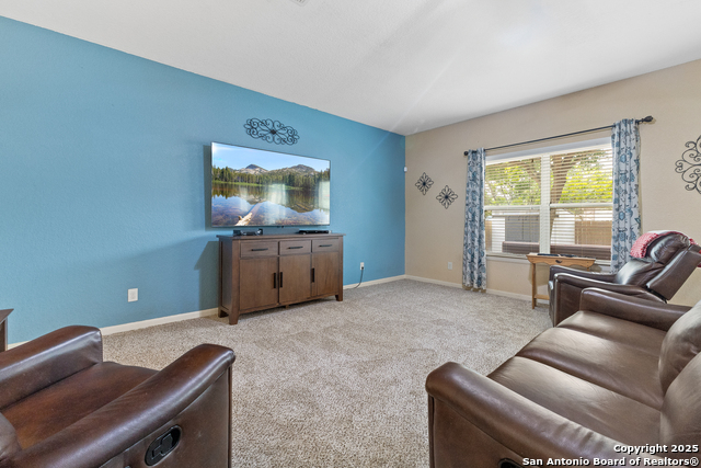10607 Tansy Canyon, Helotes, Texas image 4