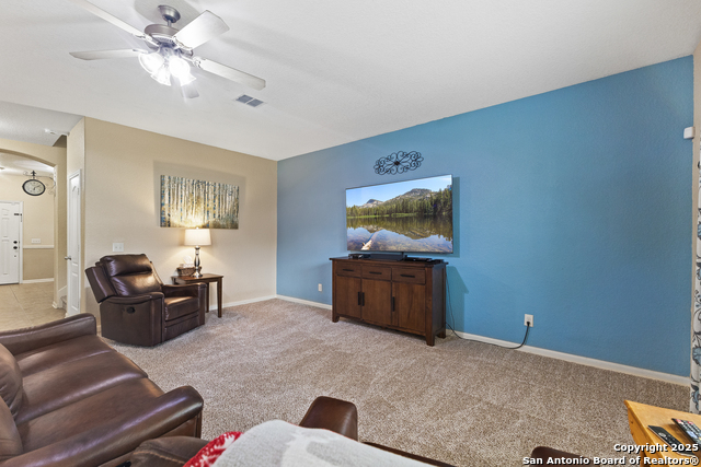 10607 Tansy Canyon, Helotes, Texas image 5