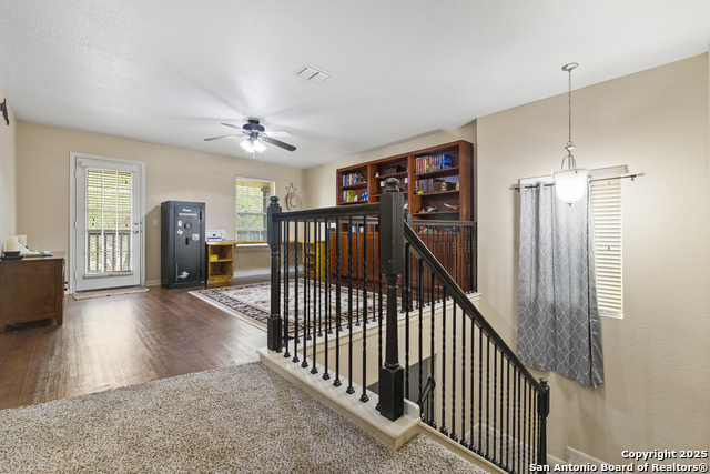 10607 Tansy Canyon, Helotes, Texas image 9
