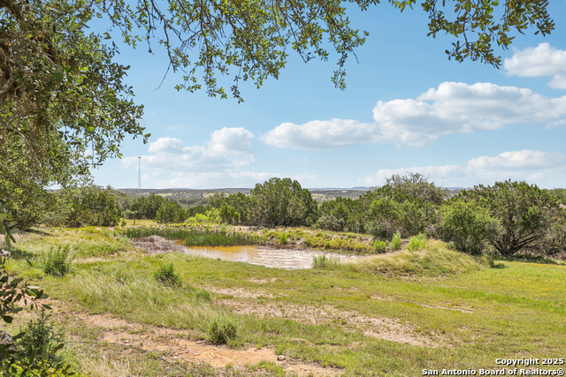 269 Red Rose, Spring Branch, Texas image 44