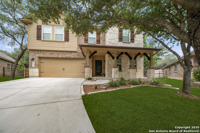 10607 Carmona, Helotes, Texas image 2