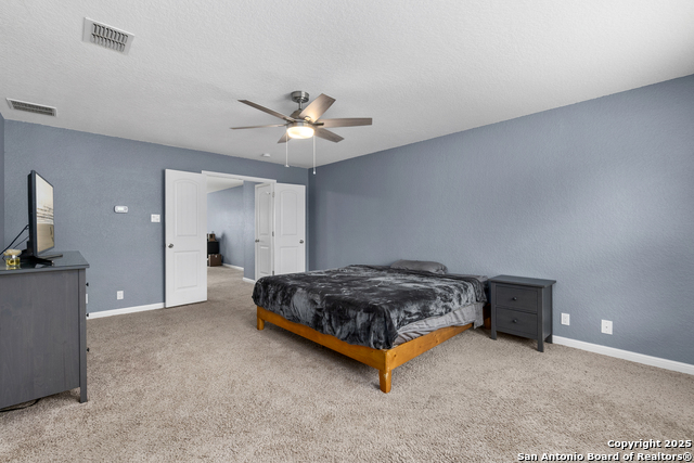 10607 Carmona, Helotes, Texas image 21