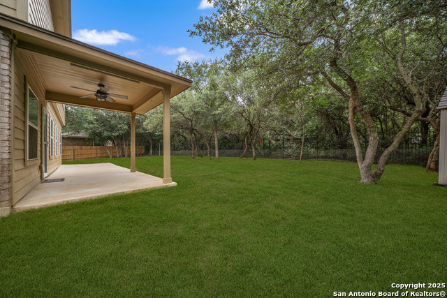 10607 Carmona, Helotes, Texas image 34