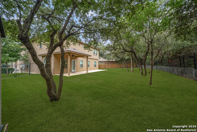 10607 Carmona, Helotes, Texas image 36