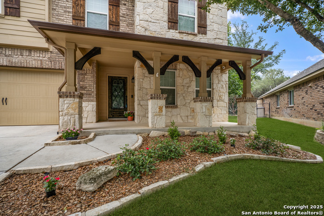 10607 Carmona, Helotes, Texas image 4