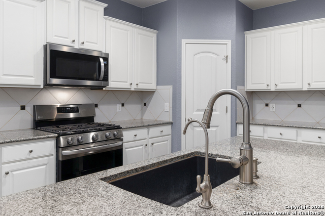 10607 Carmona, Helotes, Texas image 9