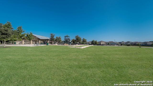 154 Squacco Heron, San Antonio, Texas image 45