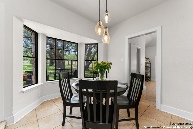 4036 Fire Candle, Spring Branch, Texas image 11