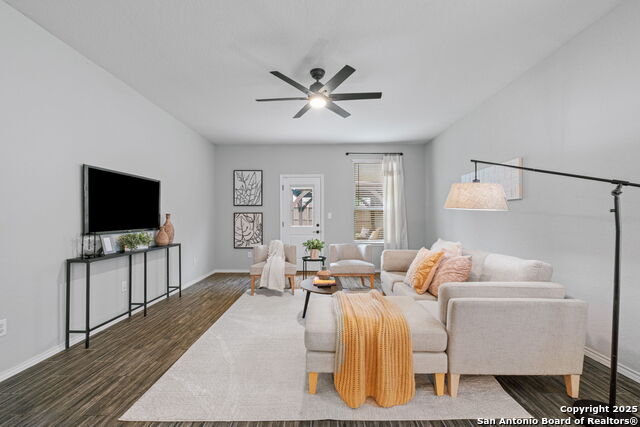 336 Salz, San Antonio, Texas image 19