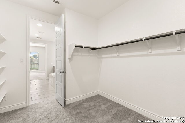 636 Vireos, New Braunfels, Texas image 15