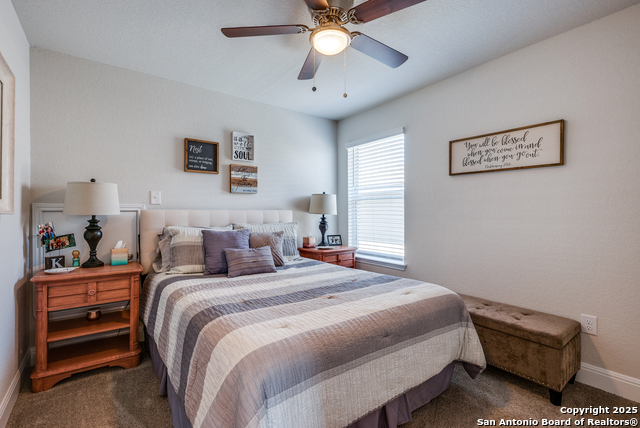 3573 Copper Crown, Bulverde, Texas image 23