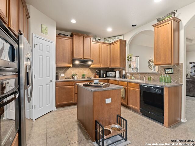 9823 Amberg, Helotes, Texas image 11