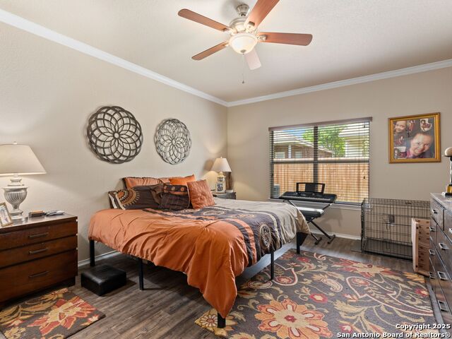 9823 Amberg, Helotes, Texas image 16