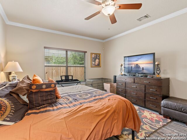 9823 Amberg, Helotes, Texas image 17