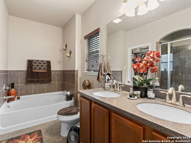 9823 Amberg, Helotes, Texas image 19