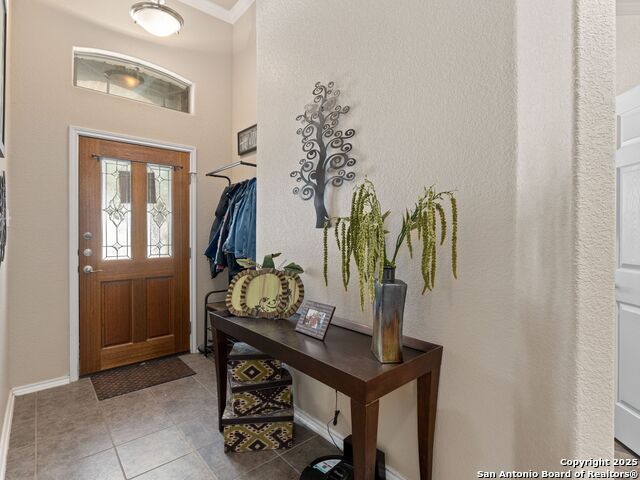 9823 Amberg, Helotes, Texas image 2