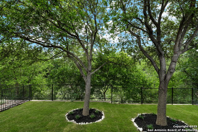 4822 Sandhill Crane, San Antonio, Texas image 33