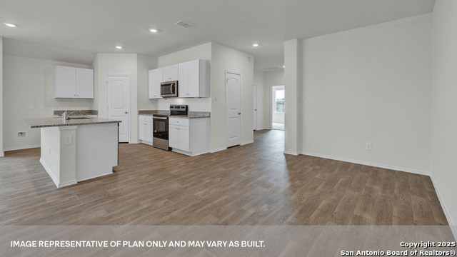 331 Bluetick Trail, Seguin, Texas image 13