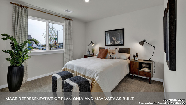 224 Las Lomas, San Marcos, Texas image 5
