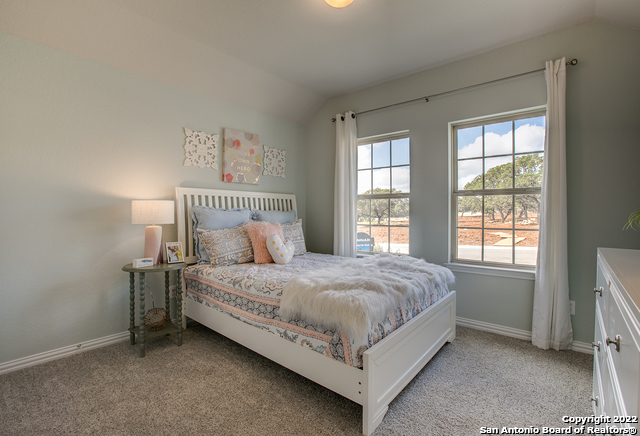 5542 Wilder St, New Braunfels, Texas image 27