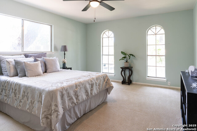 3006 Charter Rock, San Antonio, Texas image 22