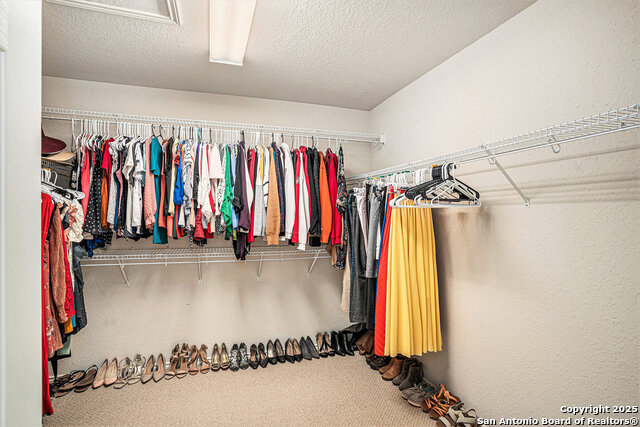 13812 Riverbank Pass, Helotes, Texas image 19