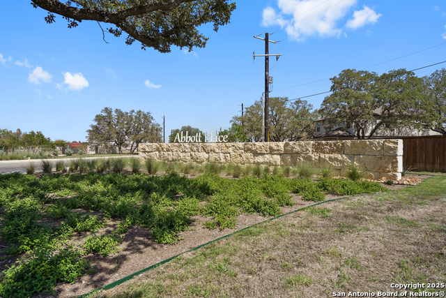 13620 Helton Pass, Saint Hedwig, Texas image 28