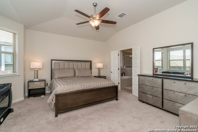 4951 Ranahan Pass, Saint Hedwig, Texas image 33