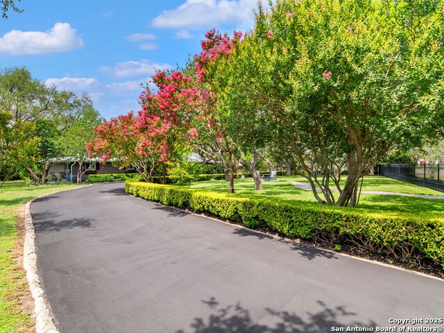 132 Wagon Trail Road, Shavano Park, Texas image 35