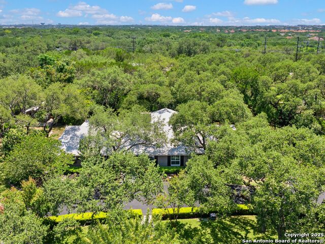 132 Wagon Trail Road, Shavano Park, Texas image 48