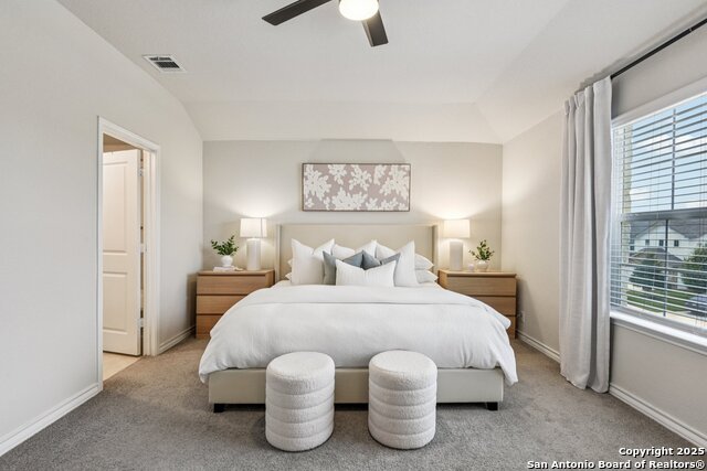 183 Amethyst Woodstar, San Antonio, Texas image 3