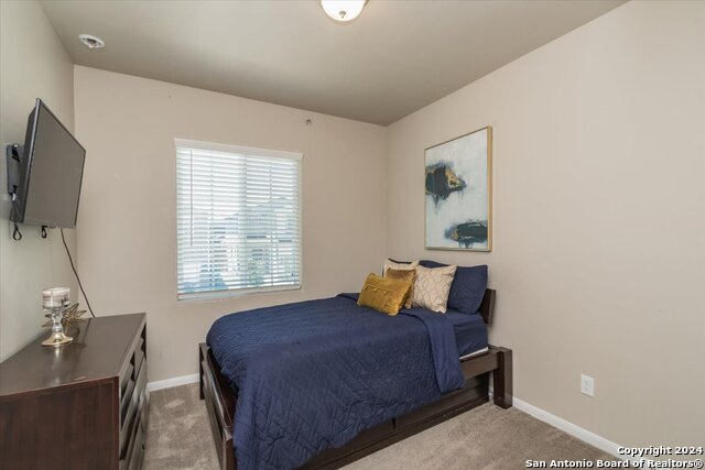 12904 Liam Ct, Saint Hedwig, Texas image 22