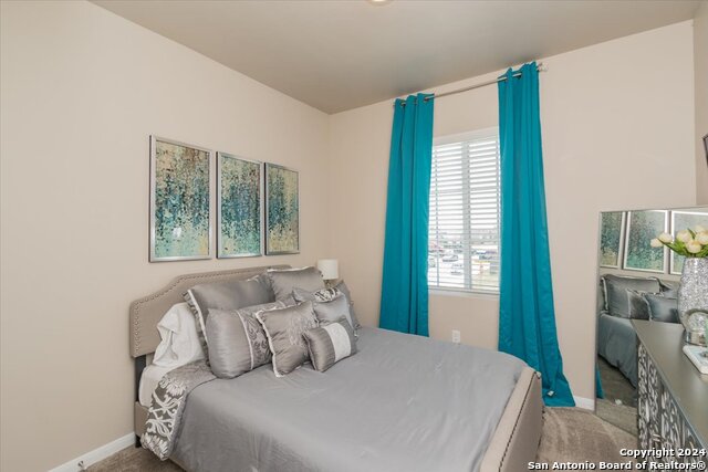 12904 Liam Ct, Saint Hedwig, Texas image 23