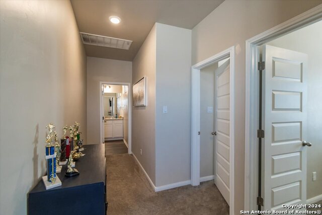 12904 Liam Ct, Saint Hedwig, Texas image 24