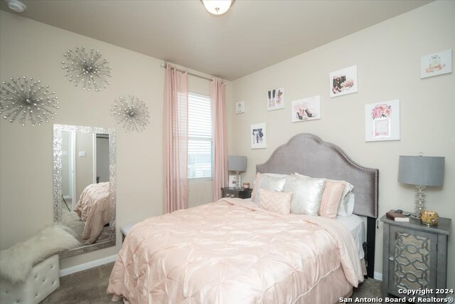 12904 Liam Ct, Saint Hedwig, Texas image 28