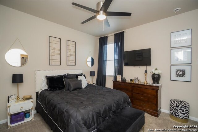 12904 Liam Ct, Saint Hedwig, Texas image 31