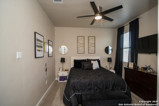 12904 Liam Ct, Saint Hedwig, Texas image 32