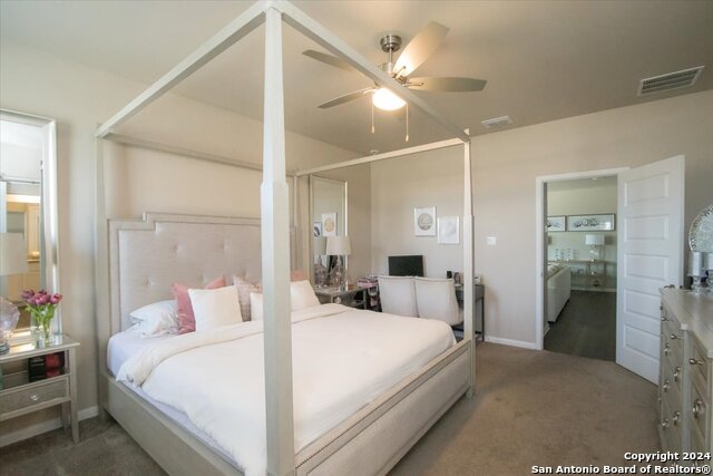 12904 Liam Ct, Saint Hedwig, Texas image 34