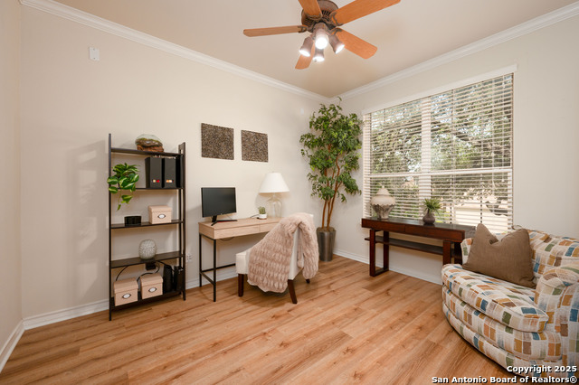 24214 Bear Claw, San Antonio, Texas image 6