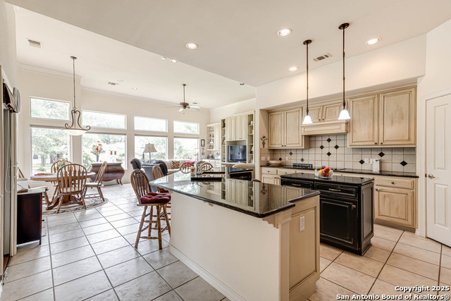 31011 Keeneland Dr., Boerne, Texas image 9
