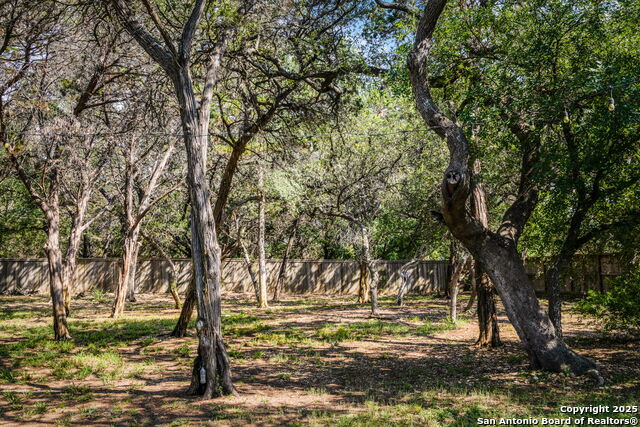 19530 Creekview Oaks, Garden Ridge, Texas image 32