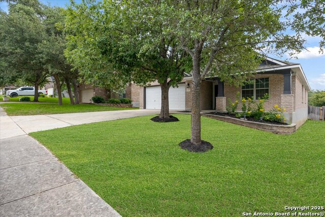 1219 Alpine Pond, San Antonio, Texas image 37
