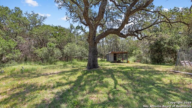 689 Abels, Canyon Lake, Texas image 20
